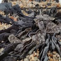 Impressions des stages à l'atelier Papilio